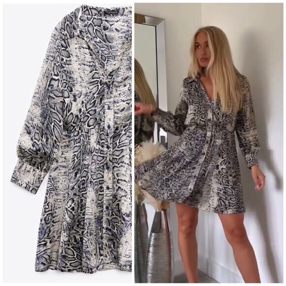 Zara Animal Print Dress - Picture 1 of 7